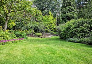 Optimiser l'expérience du jardin à La Salvetat-Belmontet